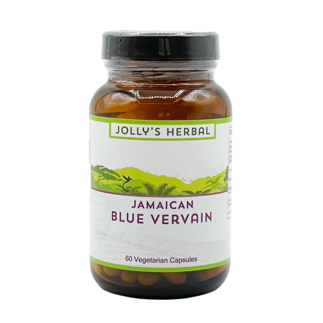 Jamaica Blue Vervain