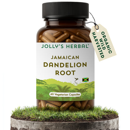 Jamaican Dandelion