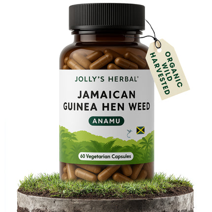 Guinea Hen Weed (Anamu)