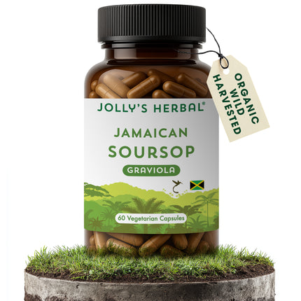 Jamaican Soursop (Graviola)